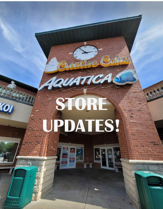 Store Update