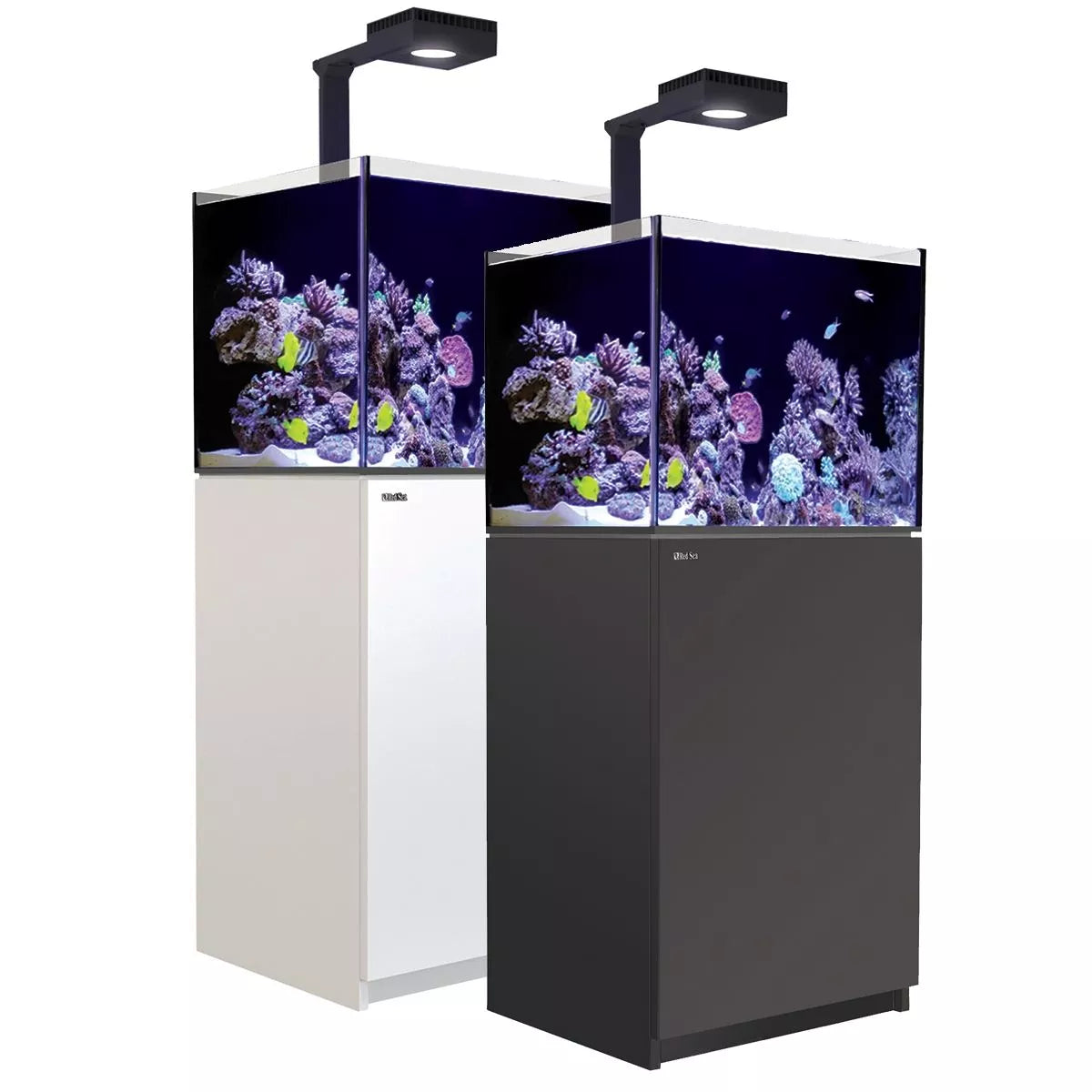 Reefer MAX 170 G2+ System (33 Gal)