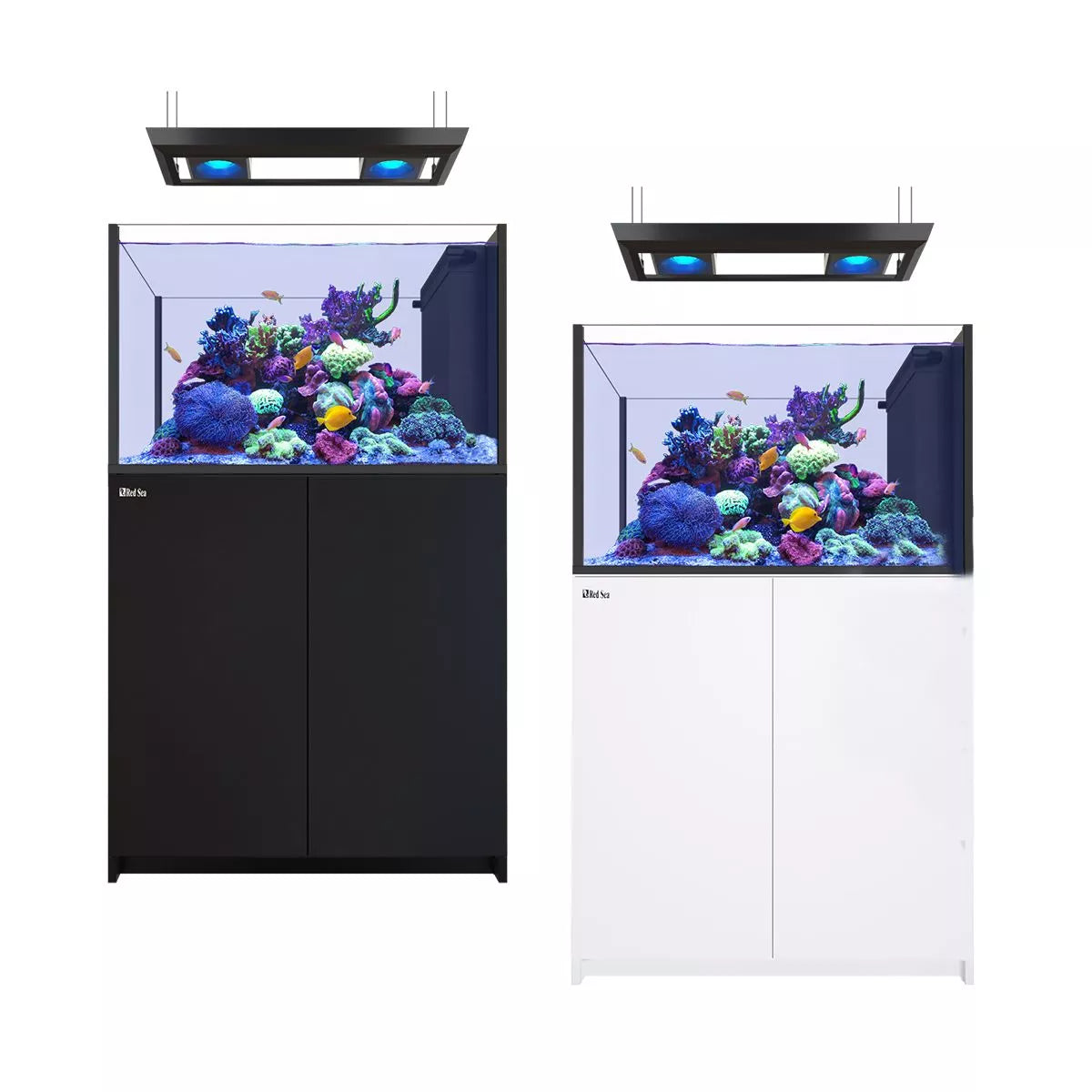 Reefer Peninsula Deluxe 350 G2+ System w 2x ReefLED G2 115 (73 Gal)