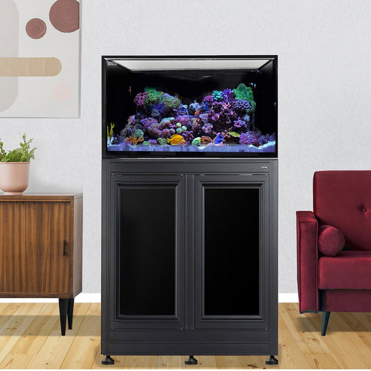 INT 112 Lagoon Aquarium w APS Stand - Black (Made to Order)