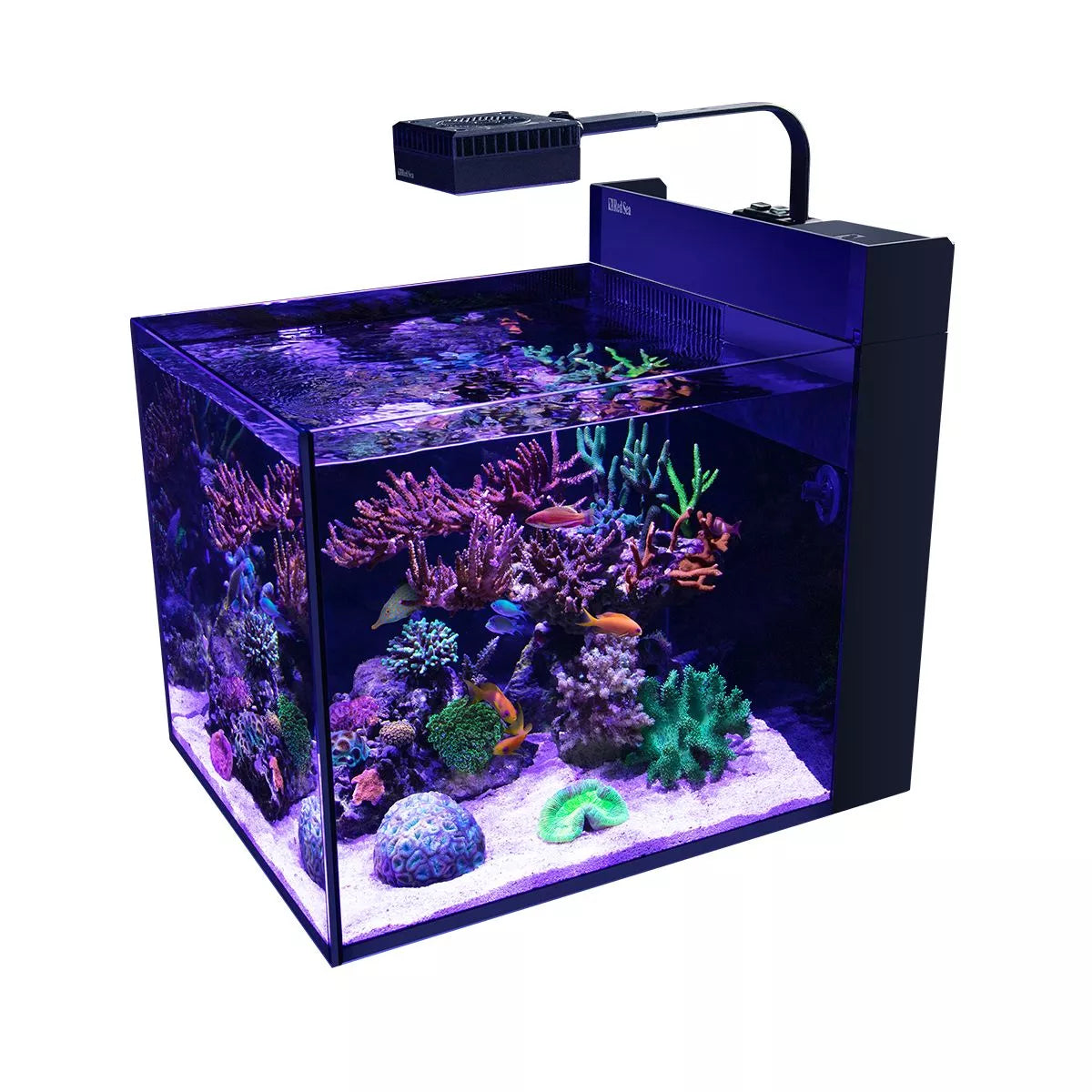 MAX NANO G2 Peninsula Aquarium (26 Gal)