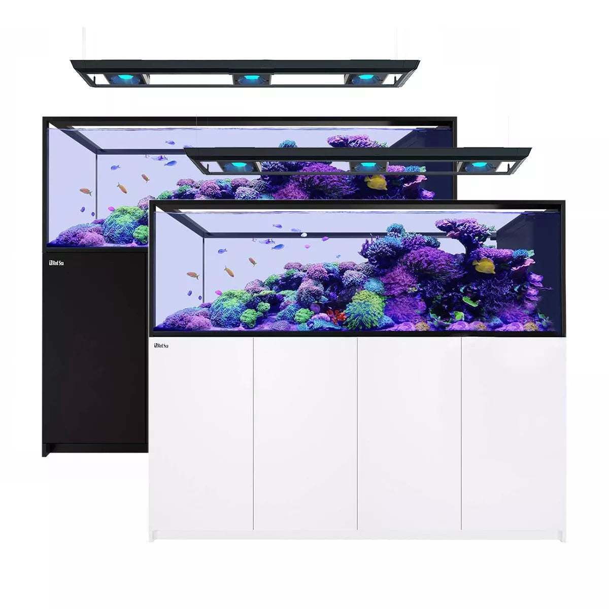 Reefer-S Peninsula Deluxe 950 G2+ System w 4x ReefLED G2 170 (200 Gal)