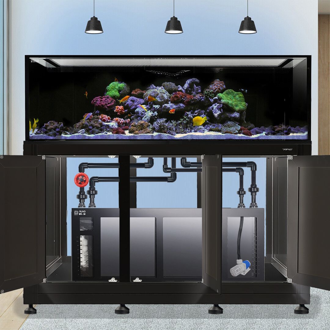 black box clean fish tank INT 200 Gallon Complete Reef System – Black – Aquatica