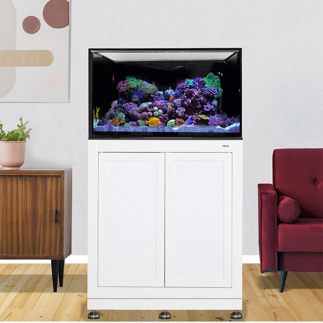 INT 112 Gallon Lagoon Aquarium Complete Reef System – White (Made to Order)