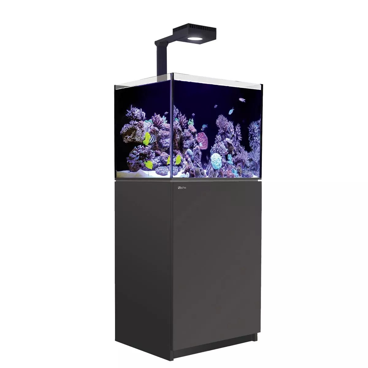 Reefer MAX 170 G2+ System (33 Gal)