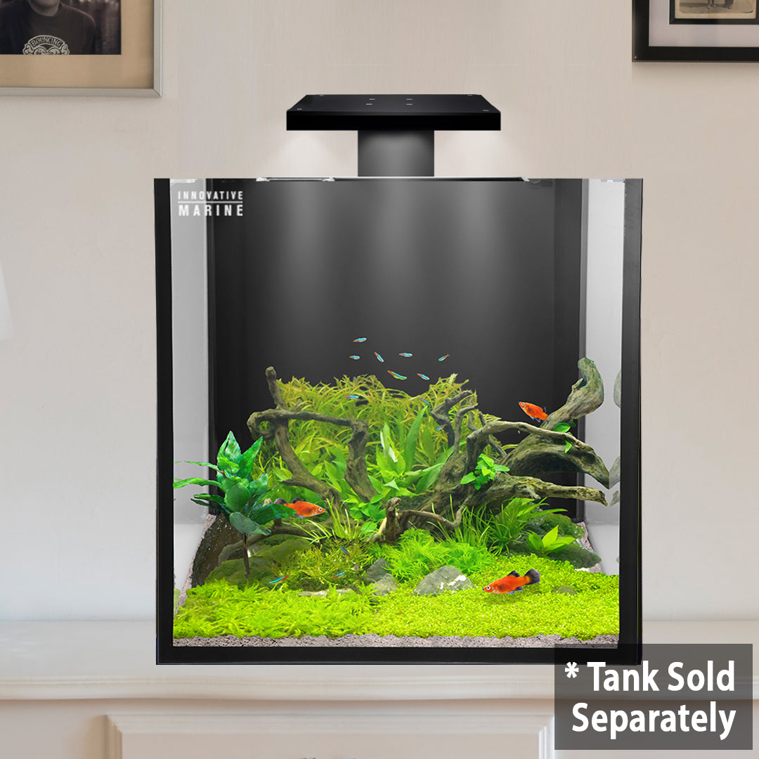 Skkye Light - 18 Watt 8000k Clamp Light (FRESHWATER ONLY) - For Fusion 15 Cube / 20 Long