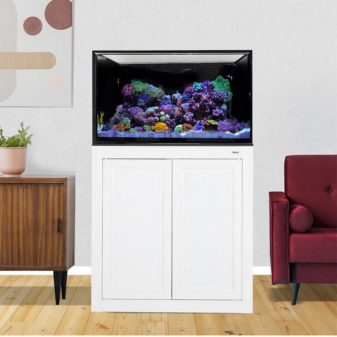 INT 112 Gallon Lagoon Aquarium Complete Reef System – White (Made to Order)