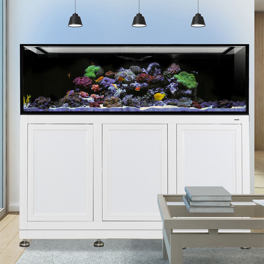 INT 200 Gallon Complete Reef System – White