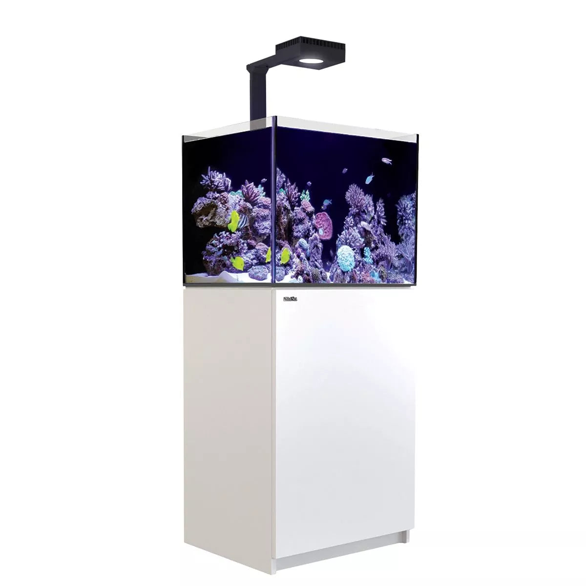 Reefer MAX 170 G2+ System (33 Gal)