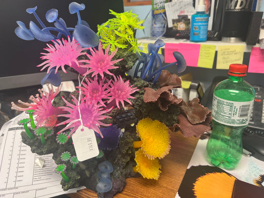 Decoration - Coral Arch