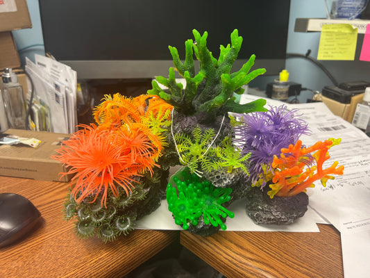 decoration - low coral with orange and green