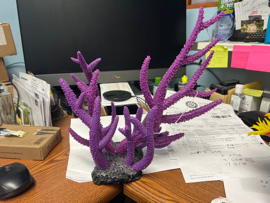 decoration - purple horn coral