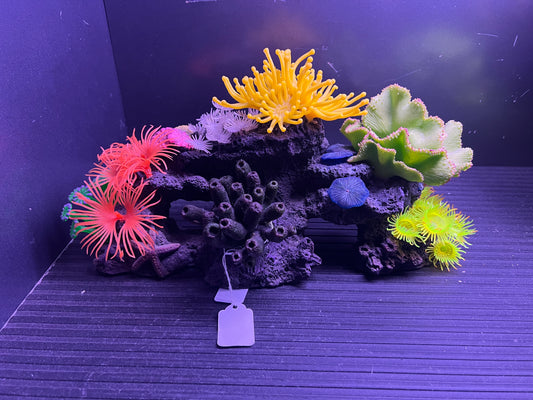 decoration - low arch with black front coral