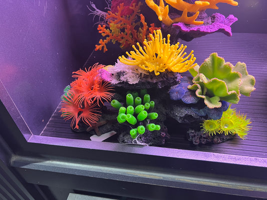decoration - low corals with yellow