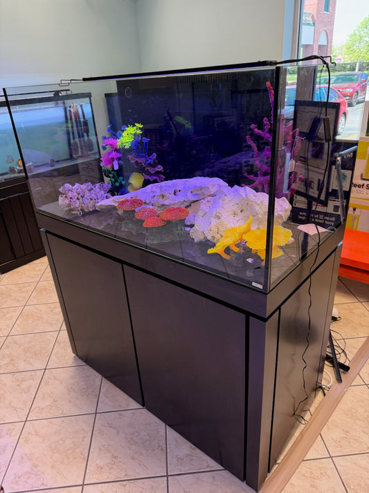 Tideline Crystalline G2 120 Gallon Rimless Aquarium Kit - STORE DISPLAY