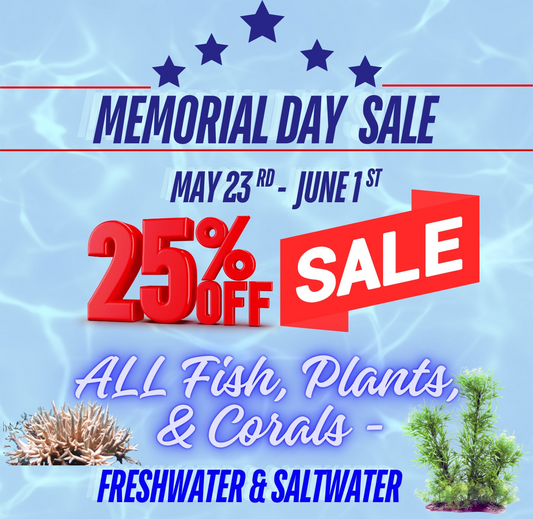 Memorial Day Sale