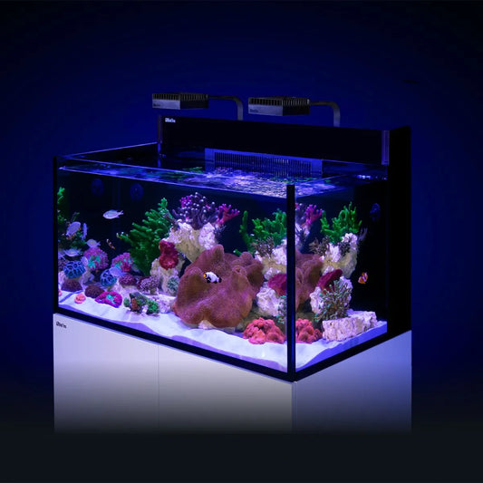 Red Sea Max Nano G2 XXL (53 Gallons)