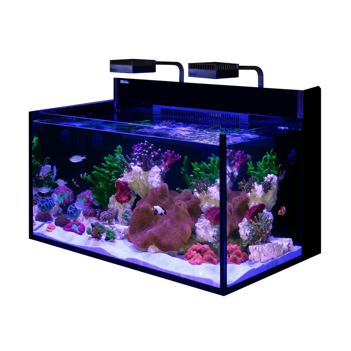 Red Sea Max Nano G2 XXL (53 Gallons)