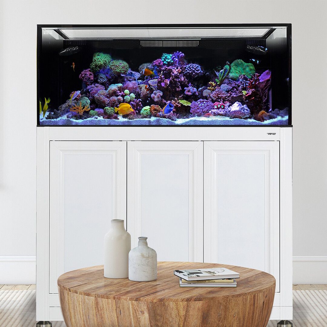 EXT 170 Aquarium w/ APS Stand - White (Made to Order