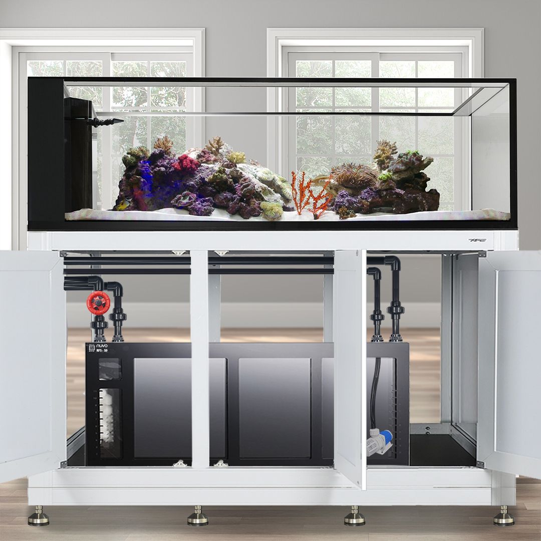 EXT 200 Gallon Peninsula Complete Reef System – White (Made to Order)