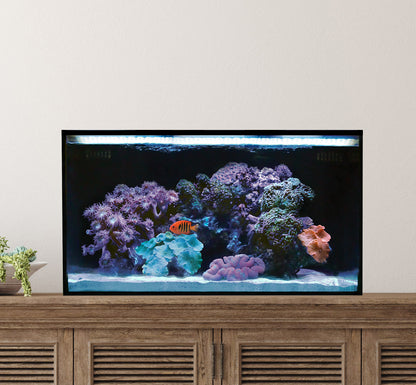 Fusion | 20 AIO Long Aquarium [Desktop Starter Kit]