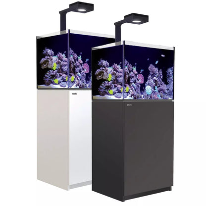 Reefer MAX 170 G2+ System (33 Gal)