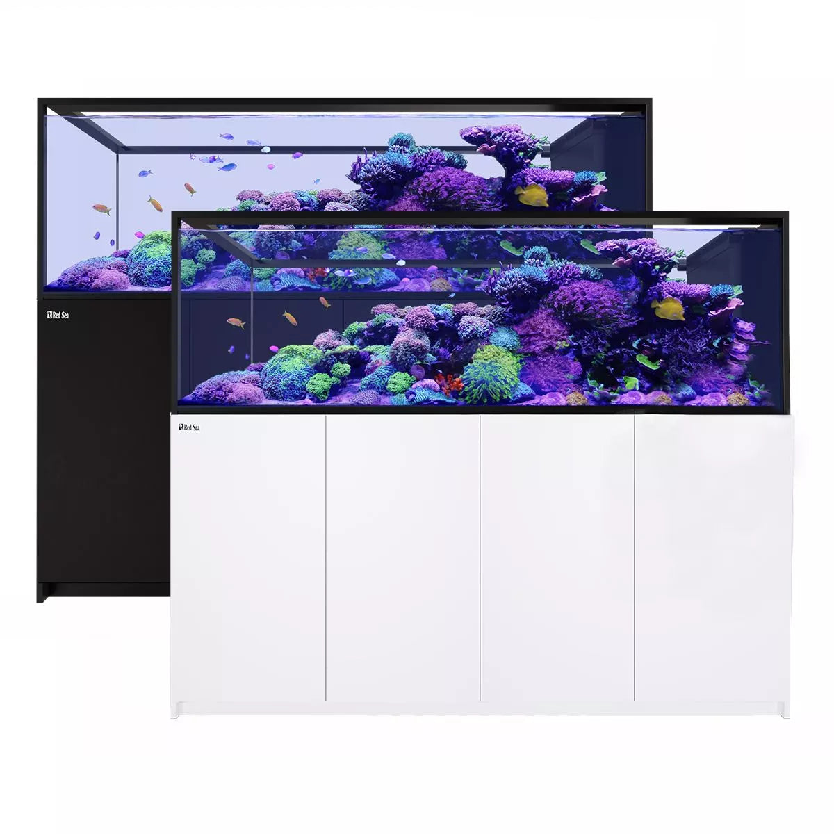 Reefer-S Peninsula 950 G2+ System (200 Gal)