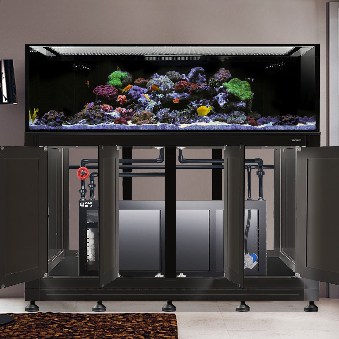 EXT 240 Gallon Complete Reef System – Black (Made to Order)