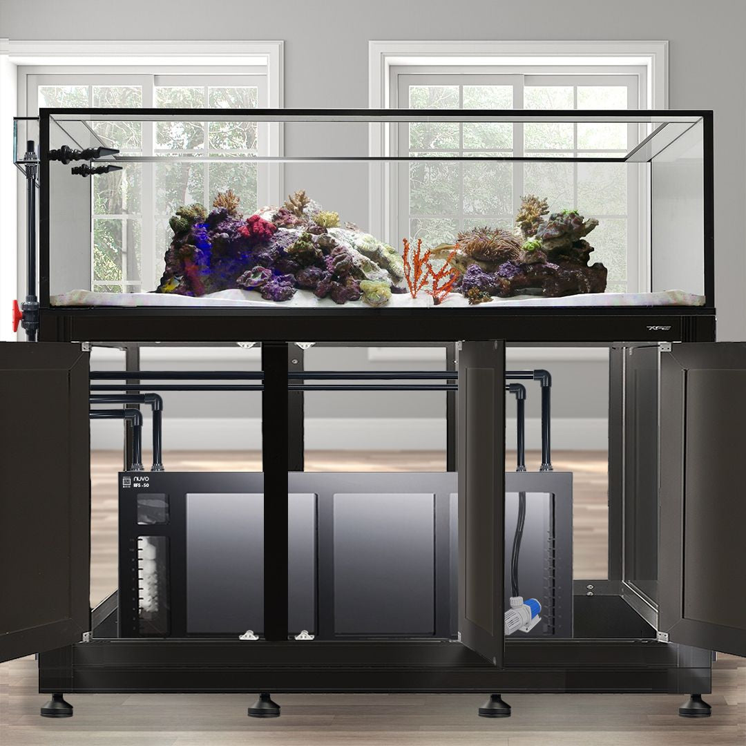 EXT 200 Gallon Peninsula Complete Reef System – Black (Made to Order)
