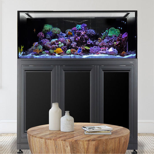 INT 170 Aquarium w APS Stand - Black (Made to Order)