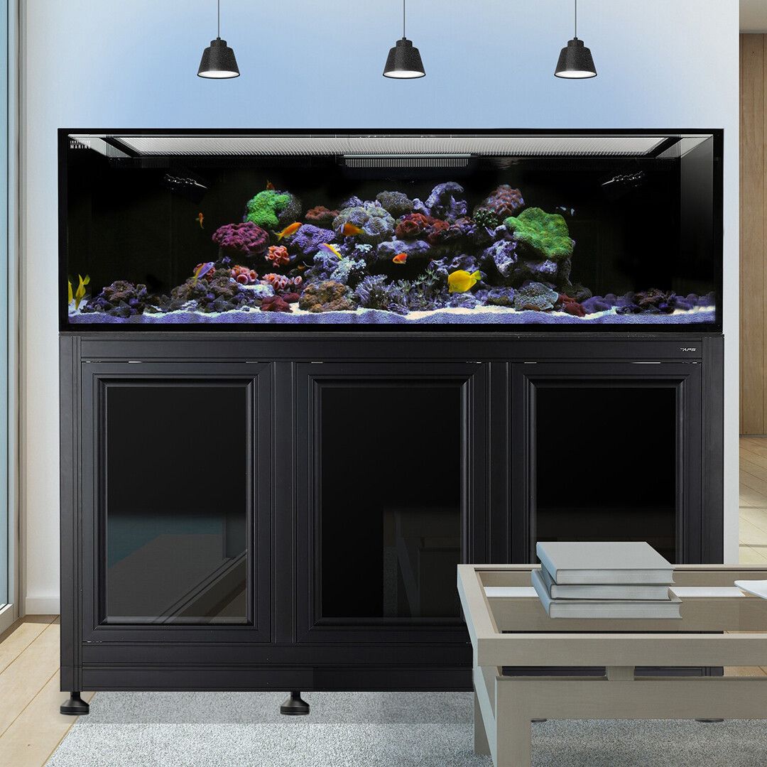 EXT 200 Gallon Peninsula Complete Reef System – Black (Made to Order)