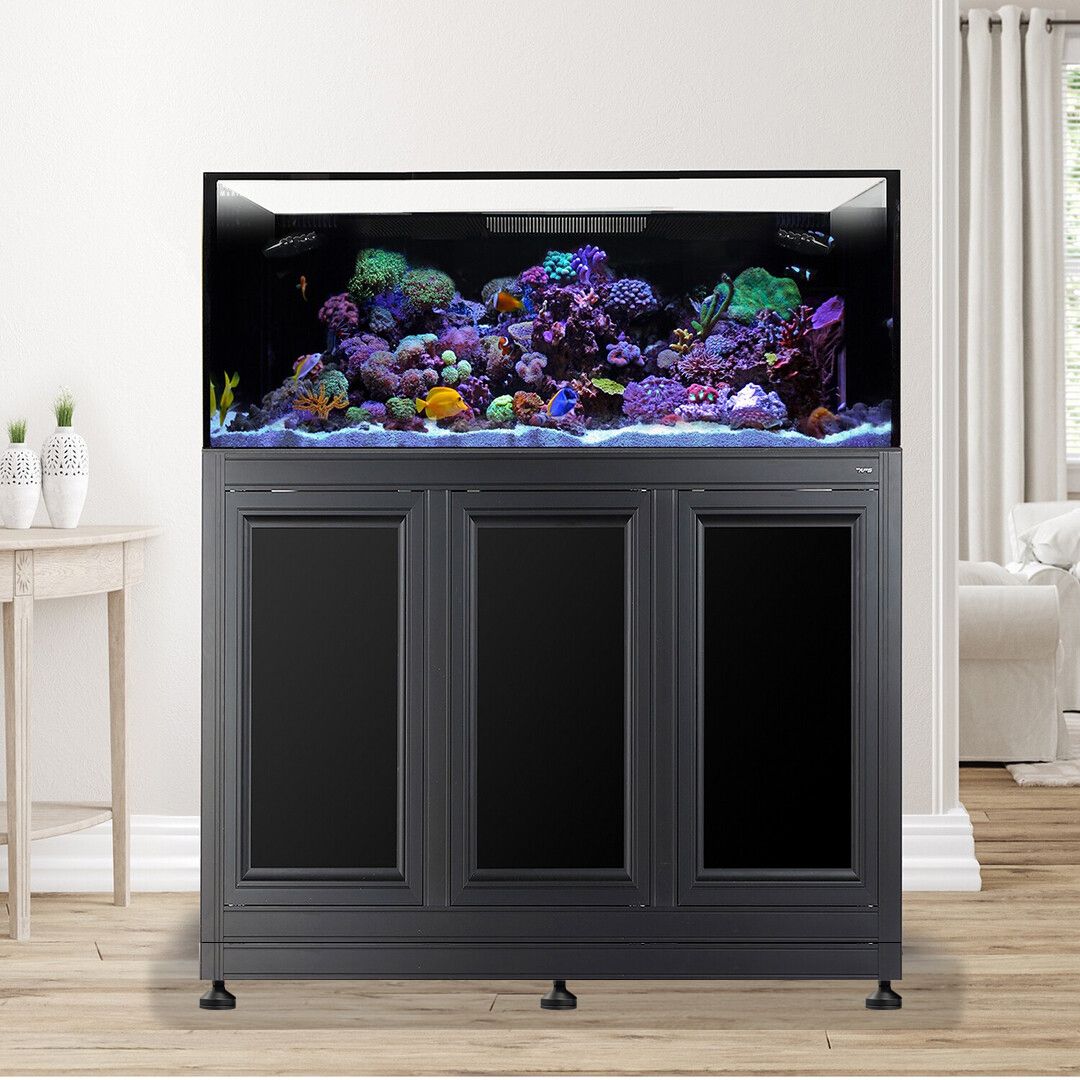 EXT 150 Gallon Lagoon Aquarium Complete Reef System – Black (Made to Order)