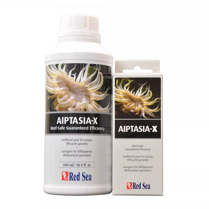 Aiptasia-X