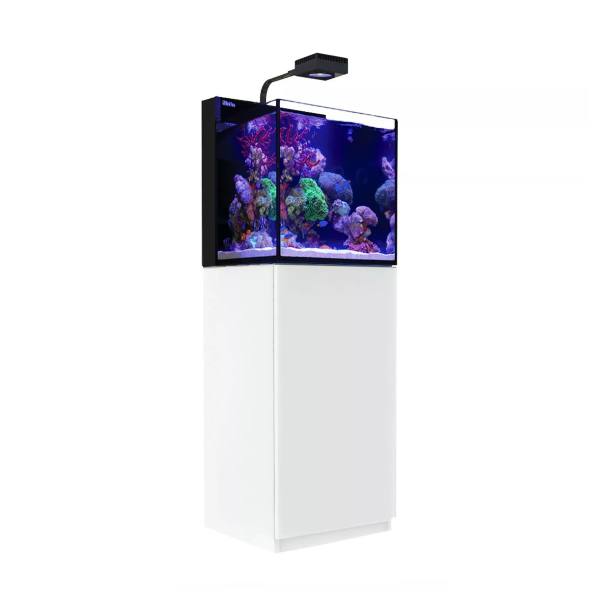 MAX NANO G2 Cube Aquarium (20 Gal)