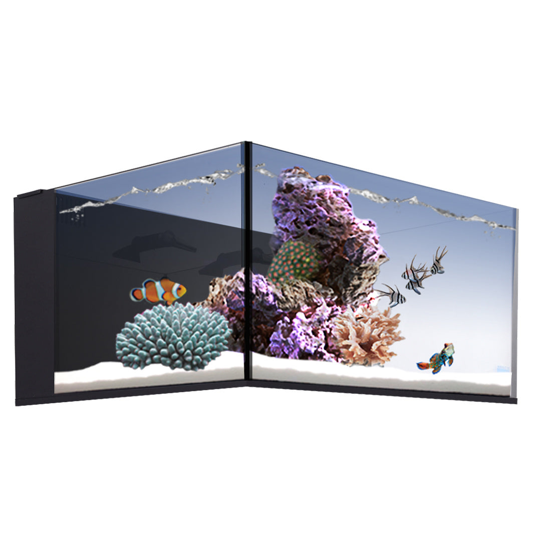 Fusion | 25 AIO Lagoon Aquarium [Desktop Starter Kit]
