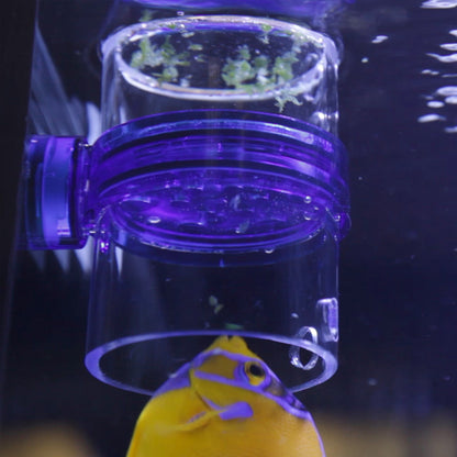 Gourmet Defroster Pro Magnetic Frozen Fish Food Feeder