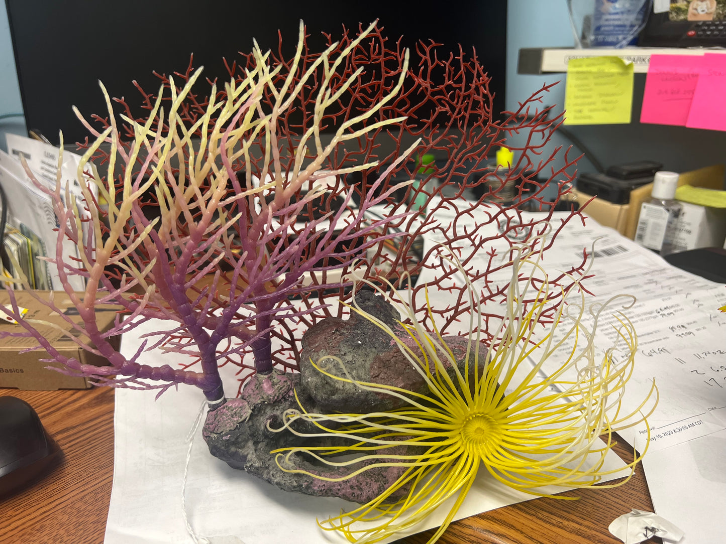 decoration - red & purple fan coral