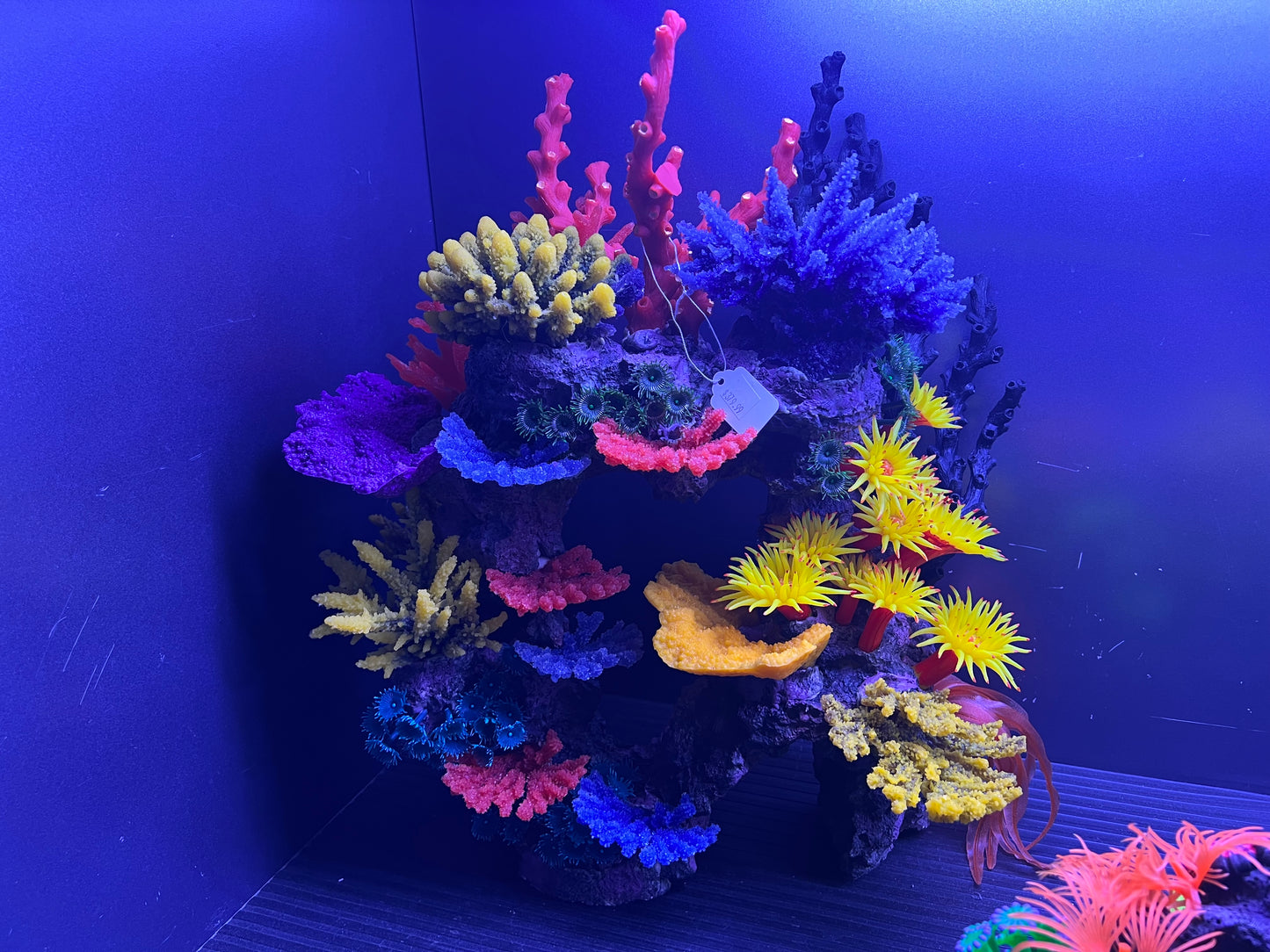 decoration - large arch with red top coral