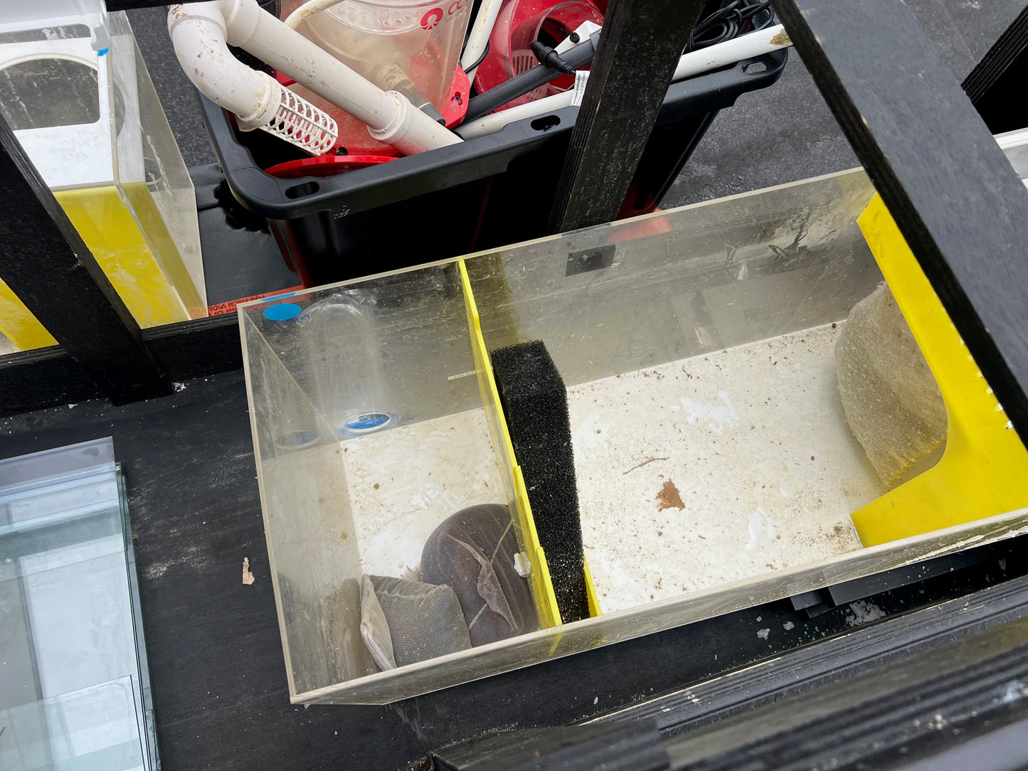 USED 210 Gallon Aqueon Aquarium Complete Saltwater System