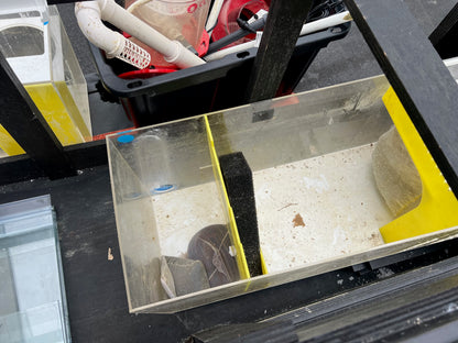 USED 210 Gallon Aqueon Aquarium Complete Saltwater System